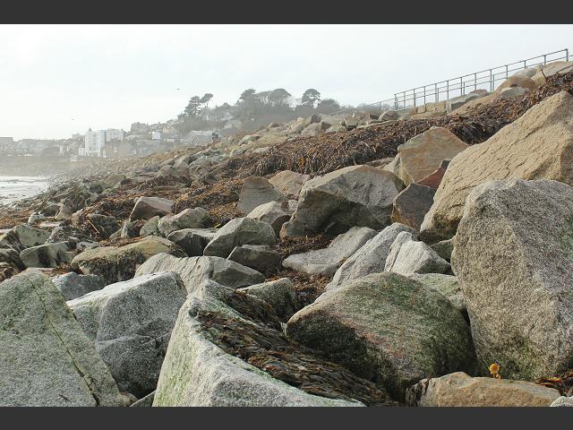 Seaweed Cast and Clearance after Storm Marine Environmental Images