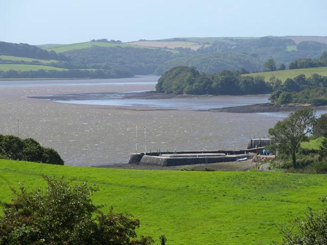 APHOTOMARINE - A photographic guide to aid the recognition and identification of The Lynher Estuary Shoreline Habitats and Intertidal Zone Images