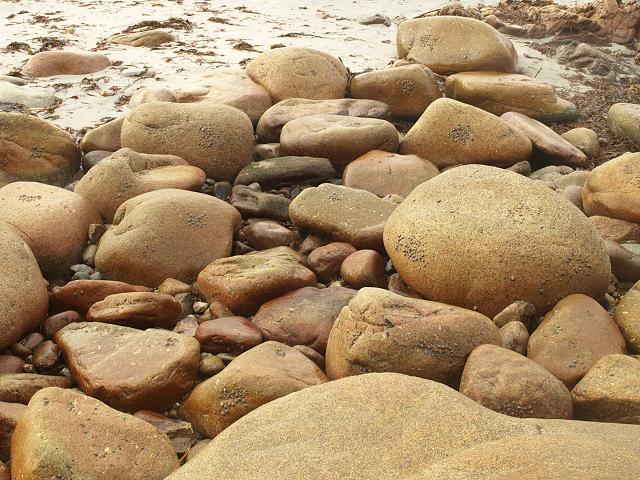 Boulder Beaches Beach Material Images