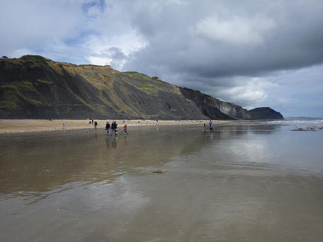 Jurassic Coast at Charmouth Dorset Geological Images