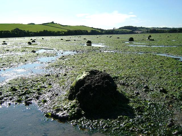 Photographic Stock Image Library Image Page for The Canon Balls of St. Johns Lake Torpoint Images of Maritime Heritage