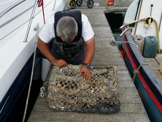 >Samples of marine fauna from crab and lobster pots and creels Sampling method images