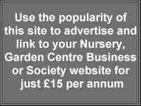 advertise on this website click here